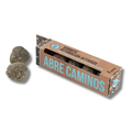 BOMBITA ABRE CAMINOS - SAGRADA MADRE