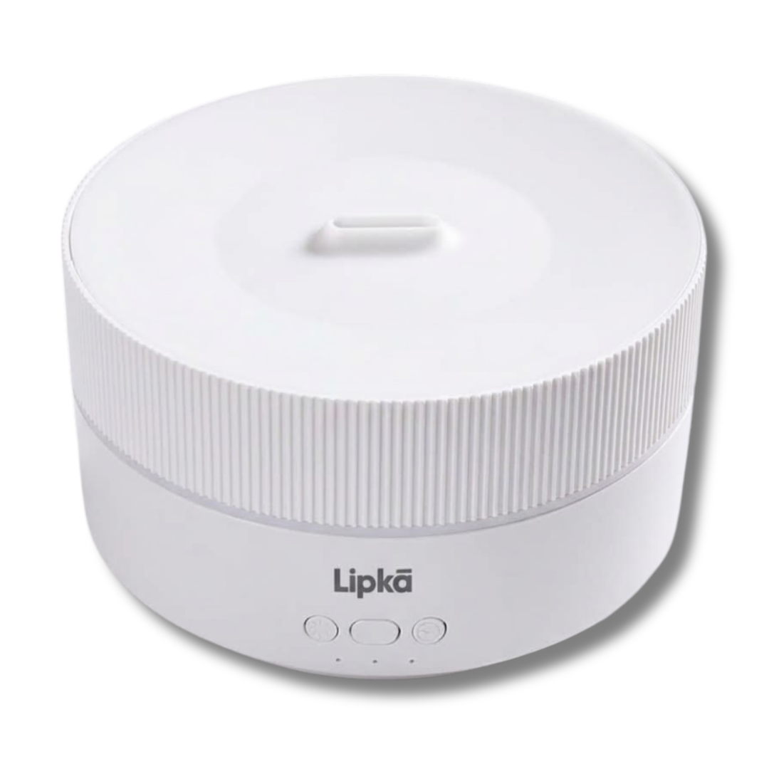 HUMIDIFICADOR CACTUS - LIPKA 500ML